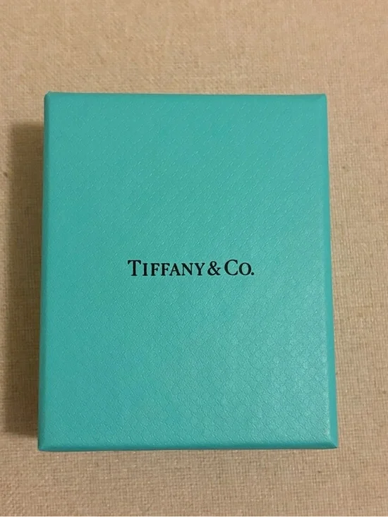 Tiffany & Co. Robin's Egg Blue Gift Bag with Matching Box - Picture 3 of 4